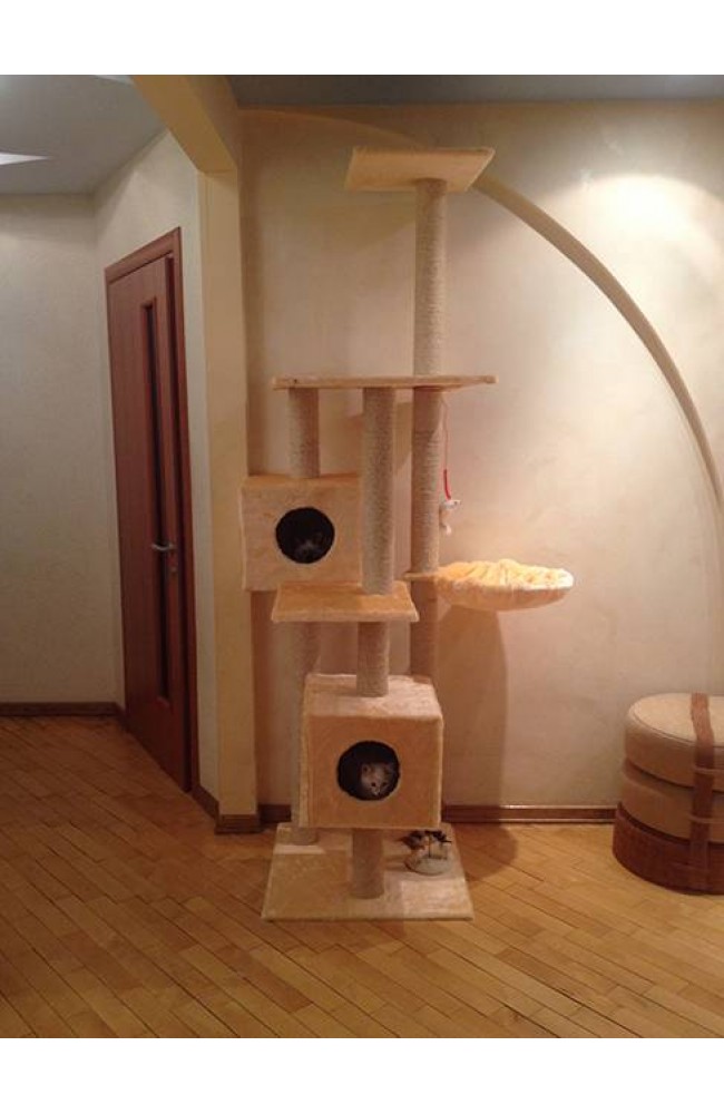 Купить домик для кошки Уют-2С с доставкой по Москве недорого